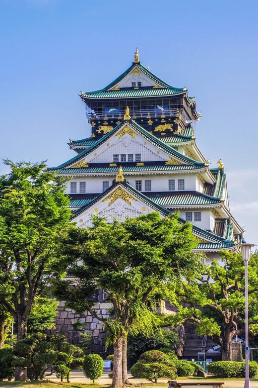 1-Day walking tour in Osaka：Castle, temples and Ukiyoe - Dotonbori: 3D Billboards, Street Color, and Ukiyoe