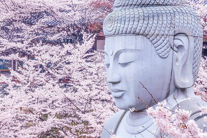 Cherry Blossom Buddha and Mt.Yoshino with Strawberry Picking Tour - Key things to know before you go