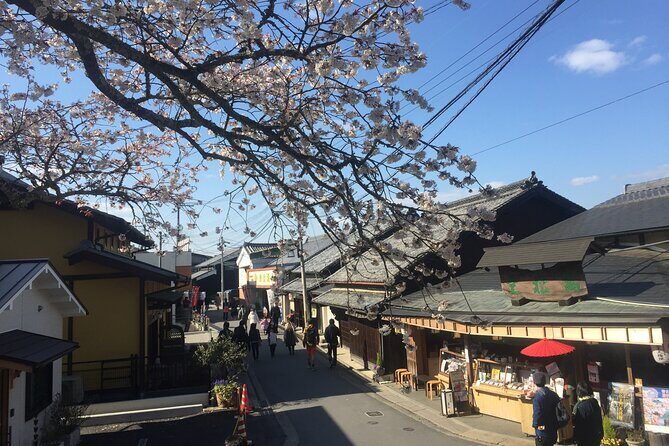 Cherry Blossom Buddha and Mt.Yoshino with Strawberry Picking Tour - Mount Yoshino: why Senbonzakura viewing is the main event