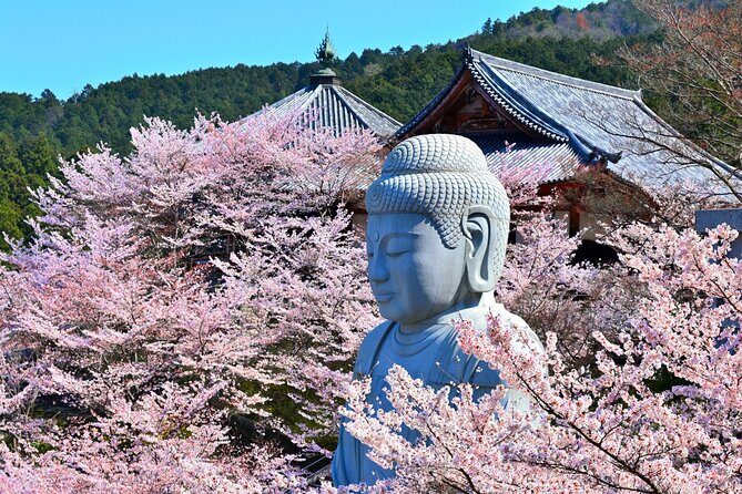 Cherry Blossom Buddha and Mt.Yoshino with Strawberry Picking Tour - Getting to the bus: Umeda departure and the no-wait rule