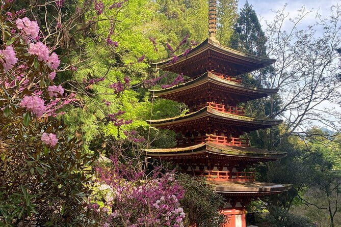 Exclusive Luxury Day Tours Serene Nara - Luxury, But With a Real Plan: Private Nara From Osaka or Kyoto