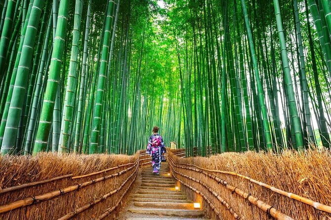 Exclusive Luxury Day Tours Serene Nara - Kasuga Taisha and the Shrine Walk Through Red Torii