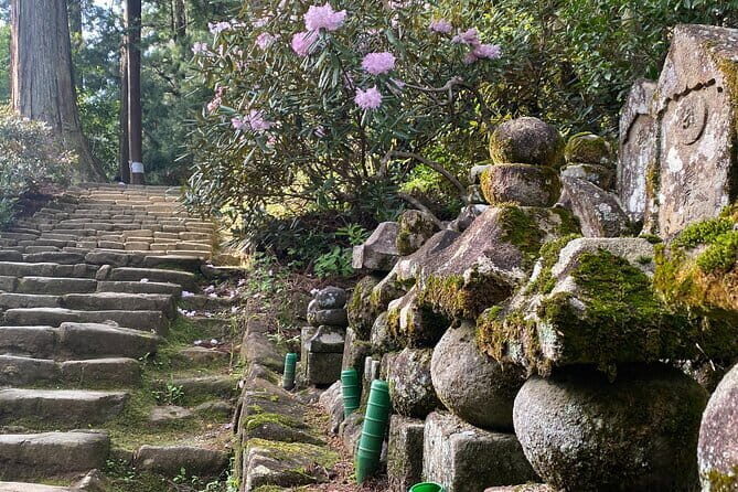Exclusive Luxury Day Tours Serene Nara - Beyond the Big Temples: Kofuku-ji and Shinyakushiji