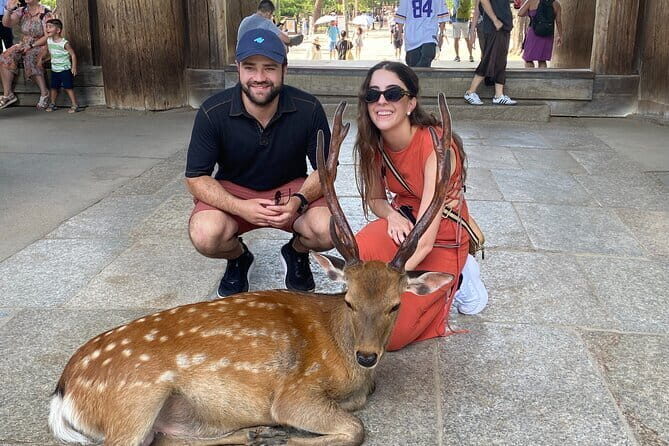 Exclusive Luxury Day Tours Serene Nara - Choosing Your 3–4 Stops: How to Build the Right Day