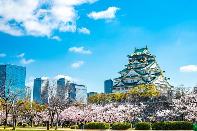 Explore Osaka | Private Tour - Local English Driver(guide option) - Key highlights you’ll care about