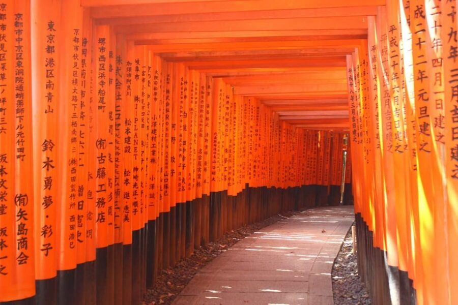 From Kyoto or Osaka: Kyoto Highlights & Nara Park Day Trip - Nara Park deer time: feeding, close encounters, and the Todaiji option