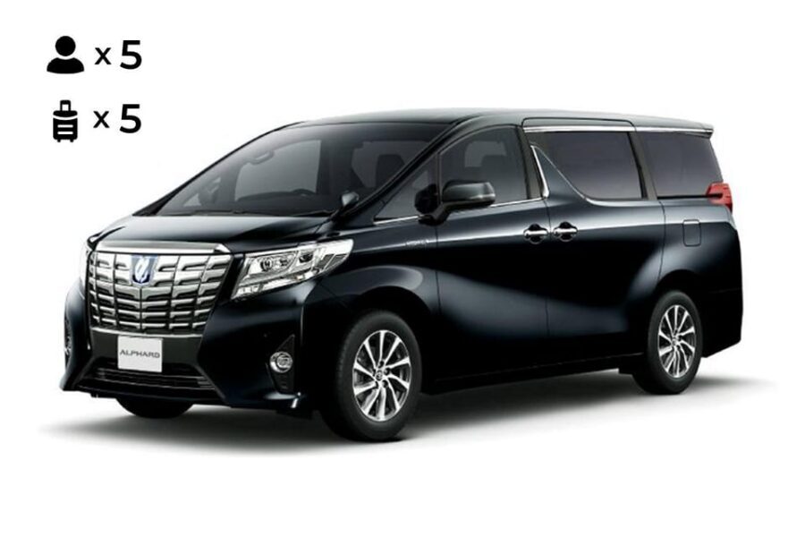 From Osaka: 10-hour Private Customized Tour to Nara - Morning anchor: Nara Park and Todai-ji (Daibutsu-den time)