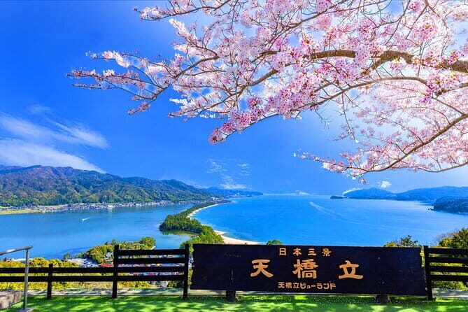 From Osaka or Kyoto: Full Day Sightseeing Tour of Kyoto - Bamboo Forest, Nonomiya Shrine, Togetsukyo Bridge: what you can actually expect