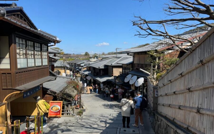 From Osaka: Private Customizable Day Tour to Kyoto - Private Car Kyoto: What You’re Really Paying For