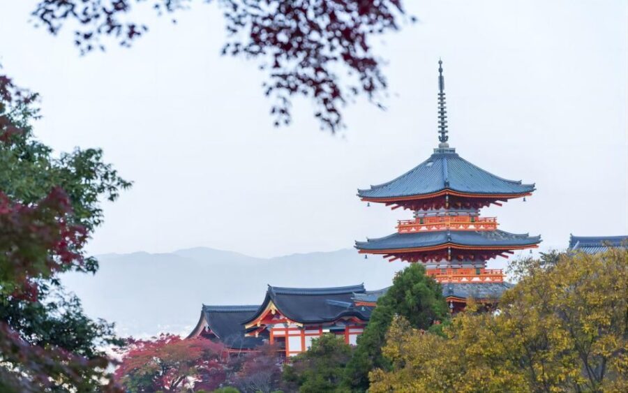 From Osaka: Private Customizable Day Tour to Kyoto - Hanami-koji and Sannenzaka: Old Streets, Shops, and Photo Stops