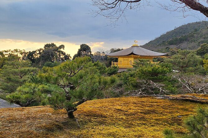 Full Day Guided Tour to Kyoto Arashiyama from Osaka by Van - Price and value: what you’re paying for (and what you must plan)