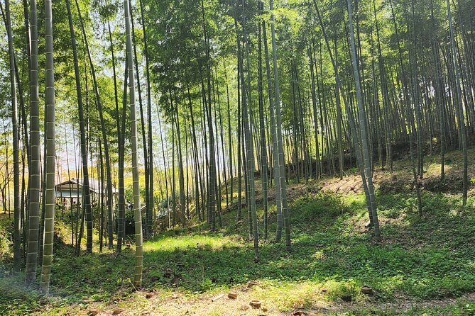 Full Day Guided Tour to Kyoto Arashiyama from Osaka by Van - How the day flows: what to expect from a full-day temple mix