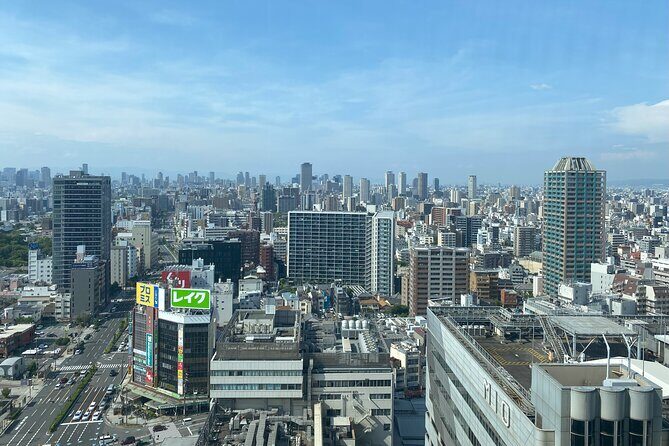 Guided Tour of Some Attractions in Osaka by Private Car - Shinsekai’s old-streets vibe: fun without needing a long detour