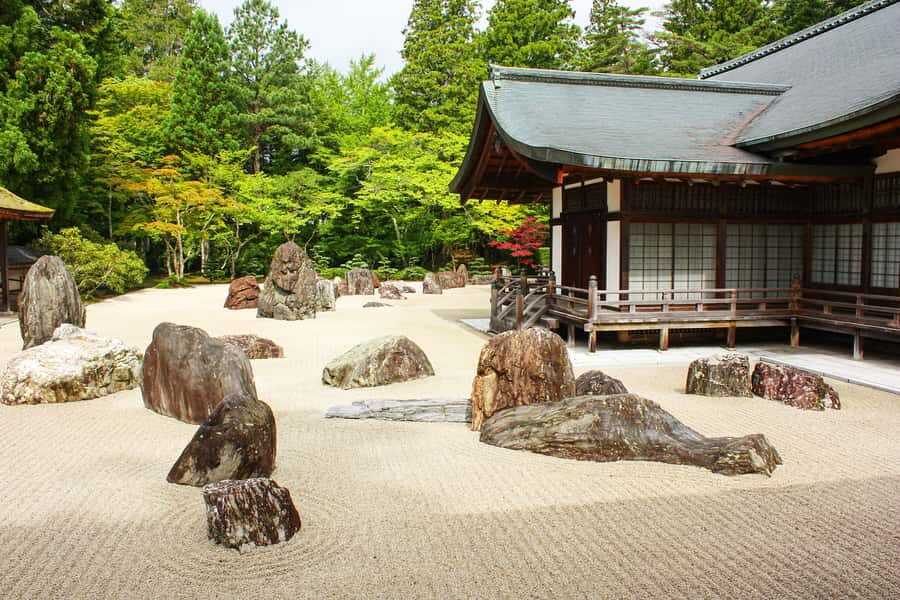 Koyasan: A Mysterious Meditation Journey - Key moments to look for