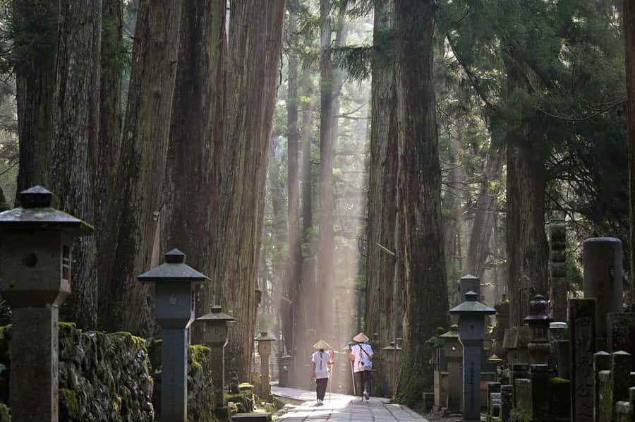 Koyasan: A Mysterious Meditation Journey - Entering Koyasan: the Daimon Gate changes your whole mood