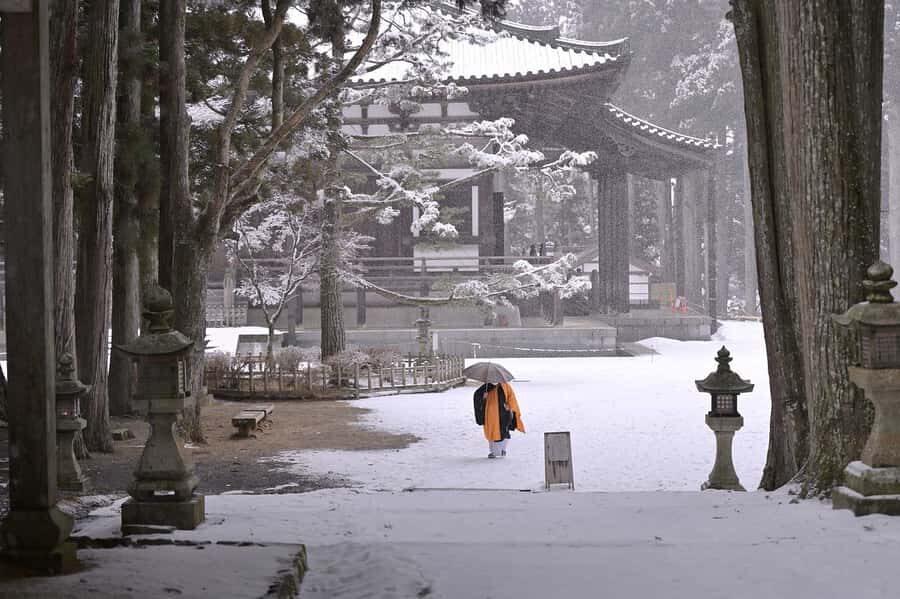 Koyasan: A Mysterious Meditation Journey - Who should book this Koyasan meditation day trip