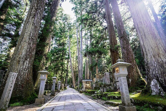 Koyasan Day Trip by Private Car from Osaka - Why a private car day to Koyasan is worth it