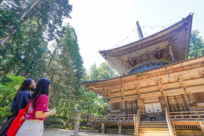 Koyasan Day Trip by Private Car from Osaka - Shojoshin-in: normally off-limits access, then a monk-guided tour