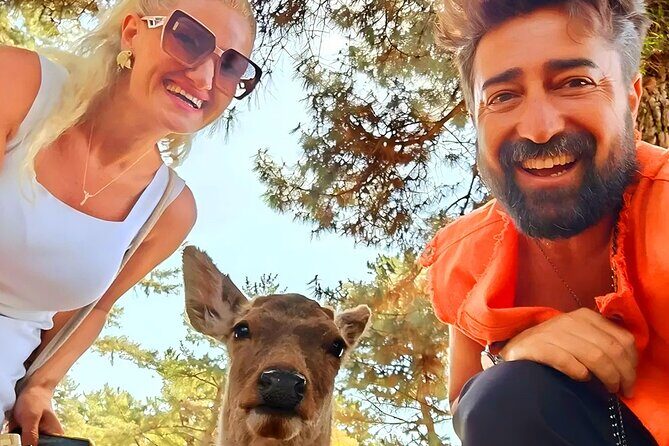 Kyoto and Nara Day Tour From Osaka with Deer Sightings - Key points to know before you go