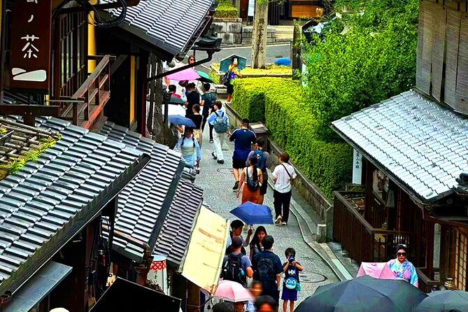 Kyoto and Nara Day Tour From Osaka with Deer Sightings - Price and value: does $69 really cover what you want?