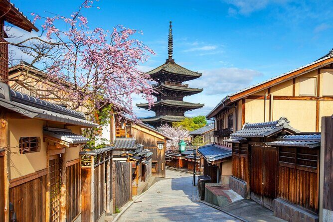 Kyoto Full day Tour Kinkakuji, Kiyomizu-dera and Fushimi Inari - The guide experience: Yiyi and Frederick set the tone