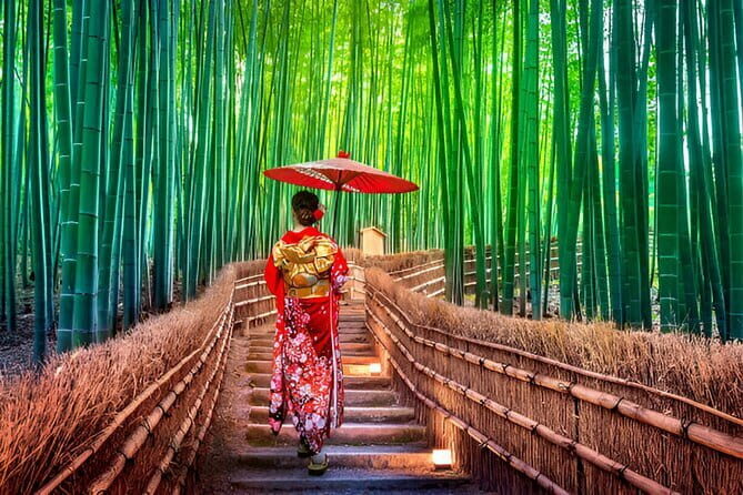 Kyoto Highlights Private Tour with Pick and Drop - Key highlights worth planning for