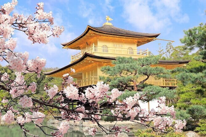 Kyoto Highlights Private Tour with Pick and Drop - Kiyomizu-dera: the nail-less hall and the view