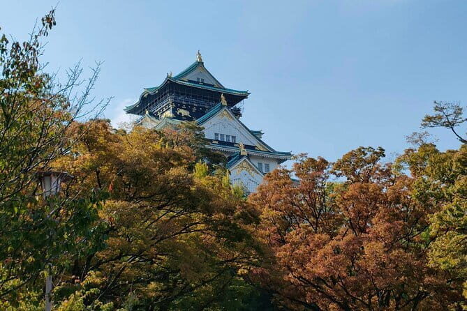 Kyoto & Nara Private Day Tour - Stop 5: Kasuga Taisha Museum for Context and Culture