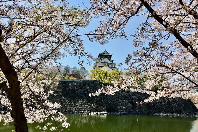Kyoto Top Four Highlights Day Trip from Osaka or Kyoto - Arashiyama essentials: Bamboo Forest, shrine stops, and the classic bridge