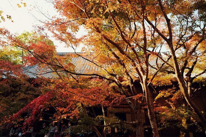 Luxury Classic Kyoto Day Tour - Private Customized Car Tour - Sannenzaka and Ninenzaka: classic Kyoto streets near Kiyomizu