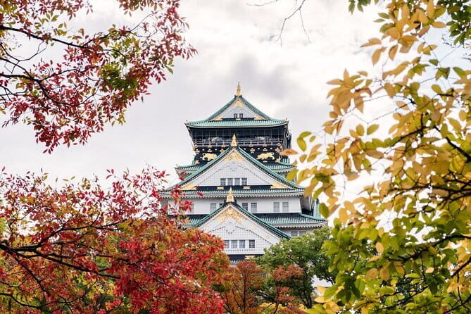 Luxury Classic Kyoto Day Tour - Private Customized Car Tour - Optional kimono rental: a fun add-on, not a must