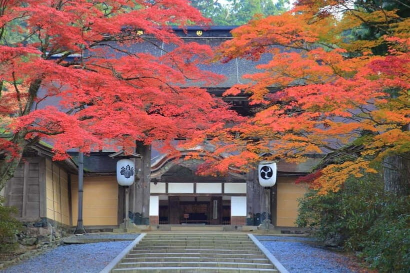 Mount Koya from Osaka: Cultural Small Group Day Tour - Key highlights worth waking up for