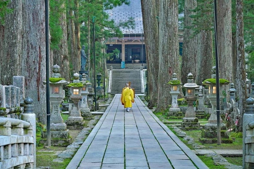 Mount Koya from Osaka: Cultural Small Group Day Tour - Shojin Ryori lunch: a meal you can actually taste and understand