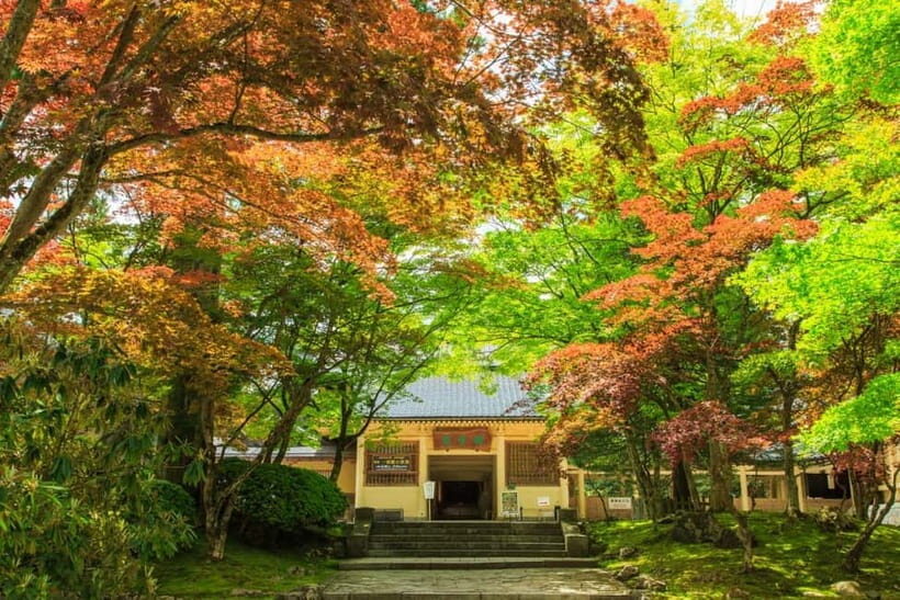 Mount Koya from Osaka: Cultural Small Group Day Tour - Danjo Garan and Reihokan Museum: symbolism you can map