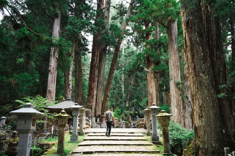 Mount Koya from Osaka: Cultural Small Group Day Tour - Okunoin Cemetery: the cedar-lined walk that changes the pace