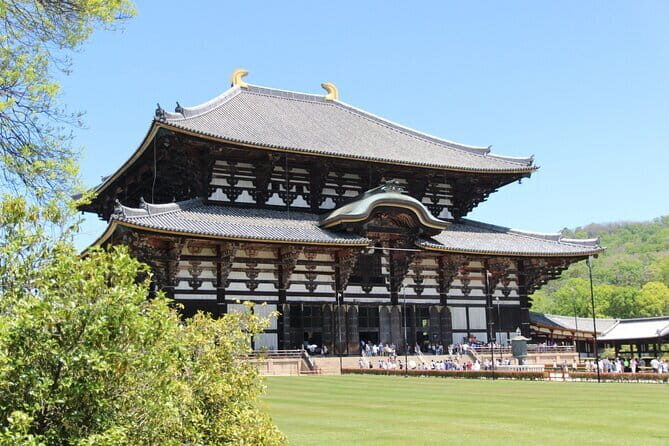 Nara Day Trip from Osaka with a Licensed Guide - The real value: a licensed guide doing the explaining