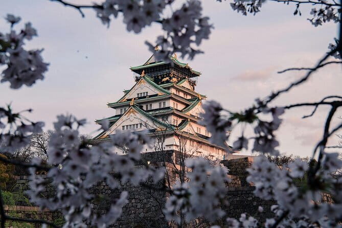 Nara Early Morning Tour (Osaka Departure Option) - Nara Park and the Deer: Sweet, Sacred, and Surprisingly Photo-Friendly
