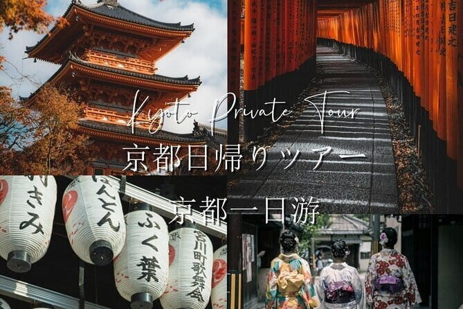 Nara Early Morning Tour (Osaka Departure Option) - Your Guide Makes It Worth Paying Attention