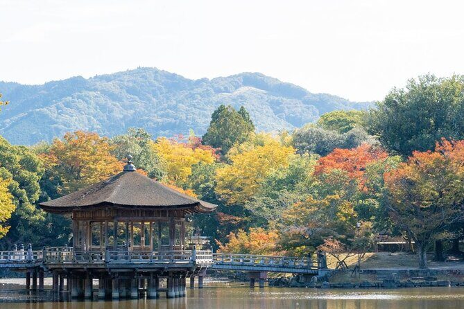 Nara : Private Day Walking Tour (From Osaka/Kyoto Possible) - Nara Park: deer feeding, photo chaos, and pure fun