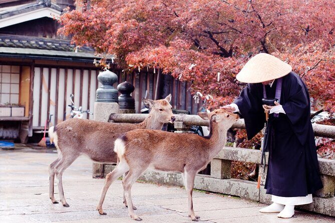 Nara Private Tour with Pick and Drop and English Speaking Driver - Price and logistics: what $526.26 really buys
