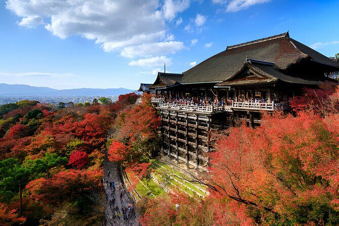 Nara Private Tour with Pick and Drop and English Speaking Driver - Nara Park + Todai-ji: the big start that sets the tone