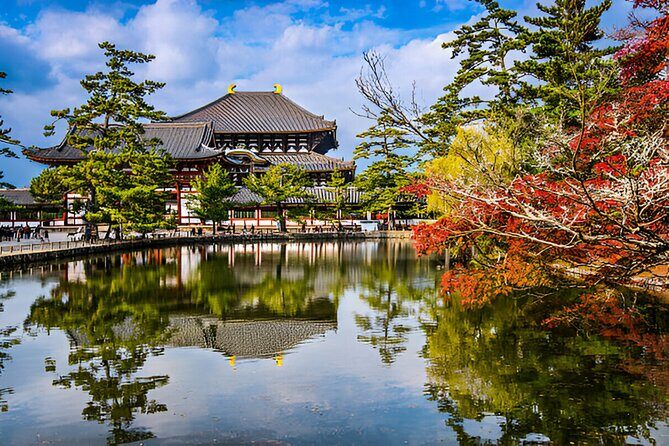 Nara Private Tour with Pick and Drop and English Speaking Driver - Kasuga Taisha Museum: lantern culture, at a slower pace