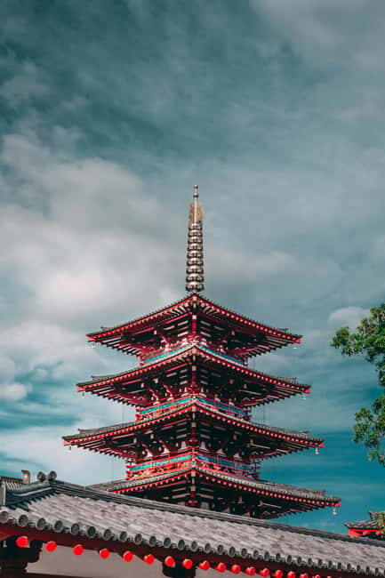 Osaka and Nara Customized Private tour with English Driver - Nara Park Deer: Fun, Familiar, and a Little Wild