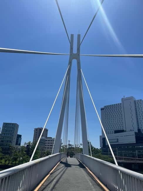 Osaka: Bike Adventure with Lunch - Why biking makes Osaka feel different (and more personal)
