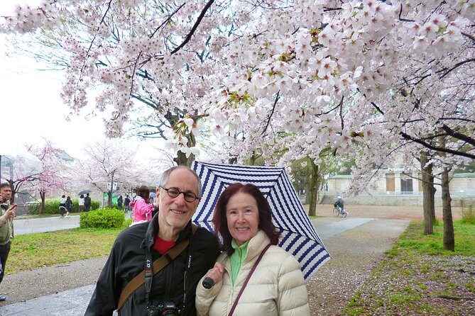Osaka Castle and Sumiyoshi Taisha Shrine Private Half-Day Tour - Inside Osaka Castle: a focused hour you can actually use