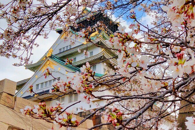 Osaka Castle & Temple Walking Tour with Multilingual Audio Guide - Key things to know before you go