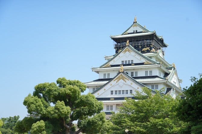 Osaka Castle Walking Tour - Meeting at Starbucks Osaka Castle Park: start without stress