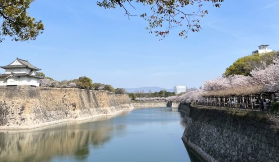 Osaka: Full-Day City Tour with a Guide and Public Transport - Key things to know before you go