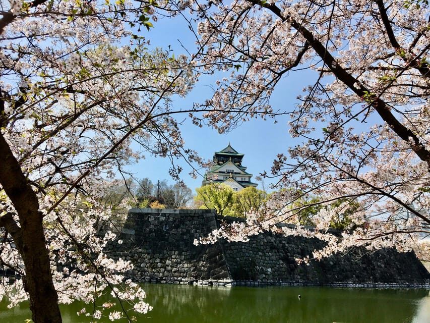 Osaka: Full-Day Private Guided Tour of the Historical City - Wheelchair accessible and how to plan if you use mobility support