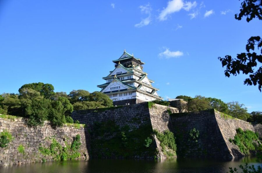 Osaka: Full-Day Sightseeing Tour by Private Vehicle - Riding in comfort: the private vehicle part that actually matters